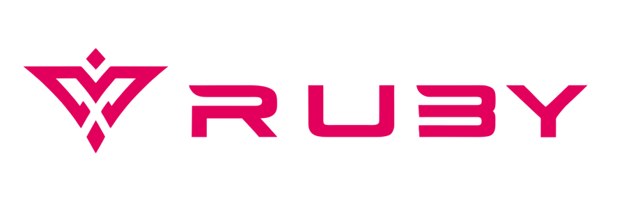 ecom logo